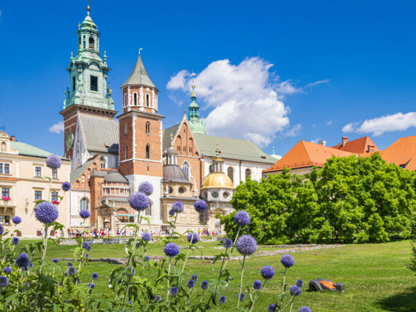 Katedra Wawelska